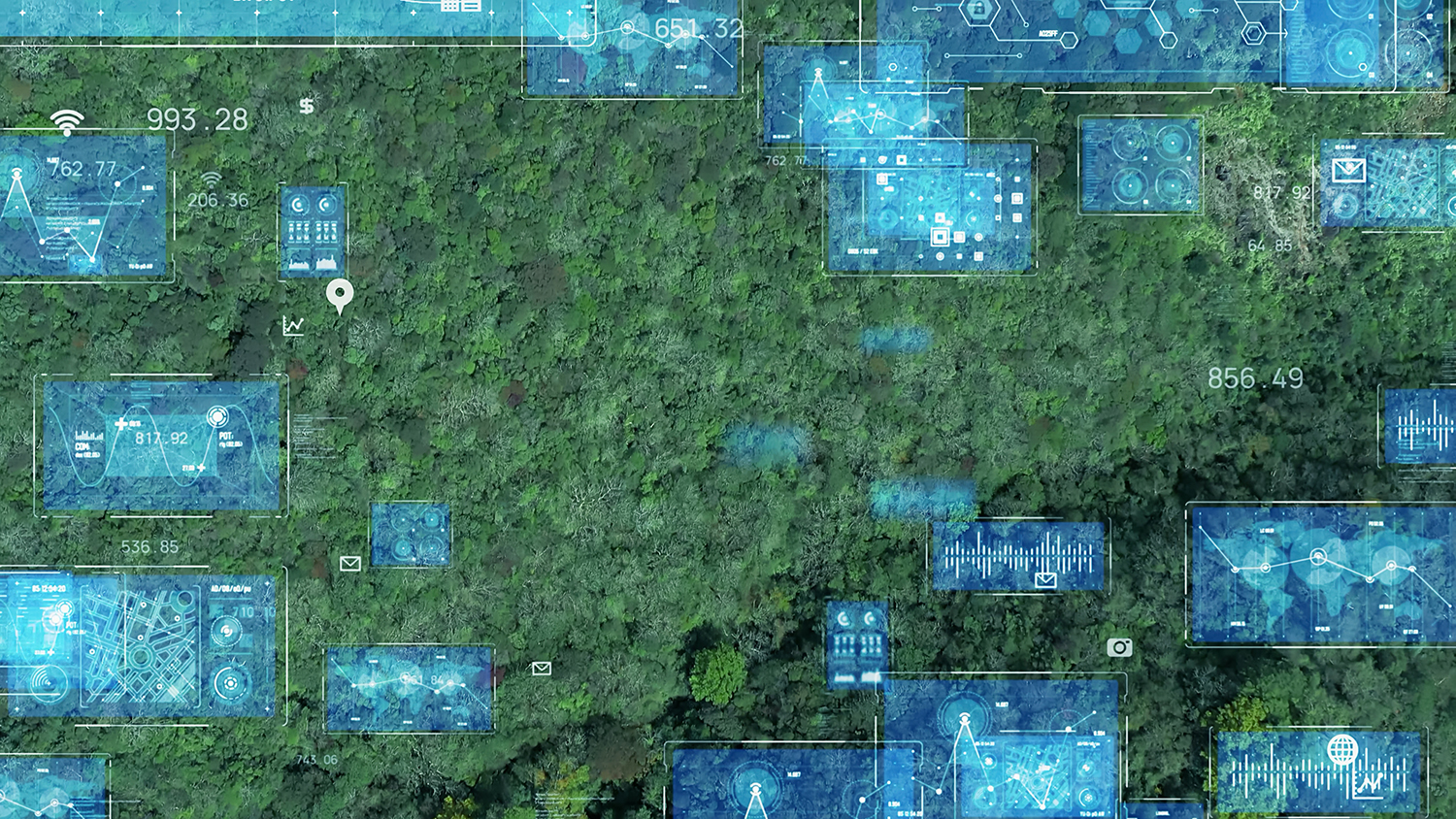 Photo - Forests and Satellites: How Russian Technologies Are Saving the Planet’s Green Lungs