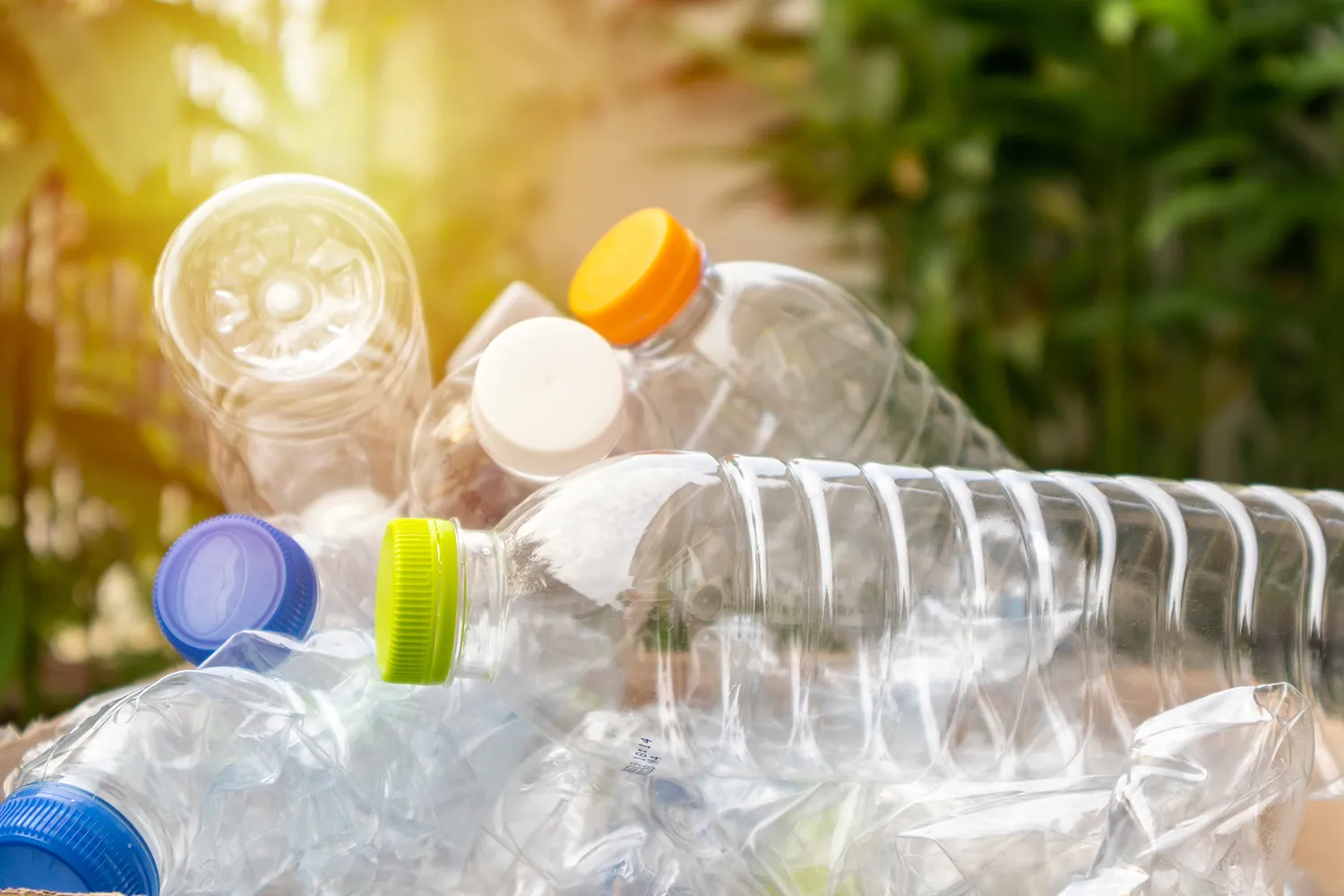 Photo - Robot vs. Plastic: Russian Student Develops AI to Spot PET Bottles in Landfills