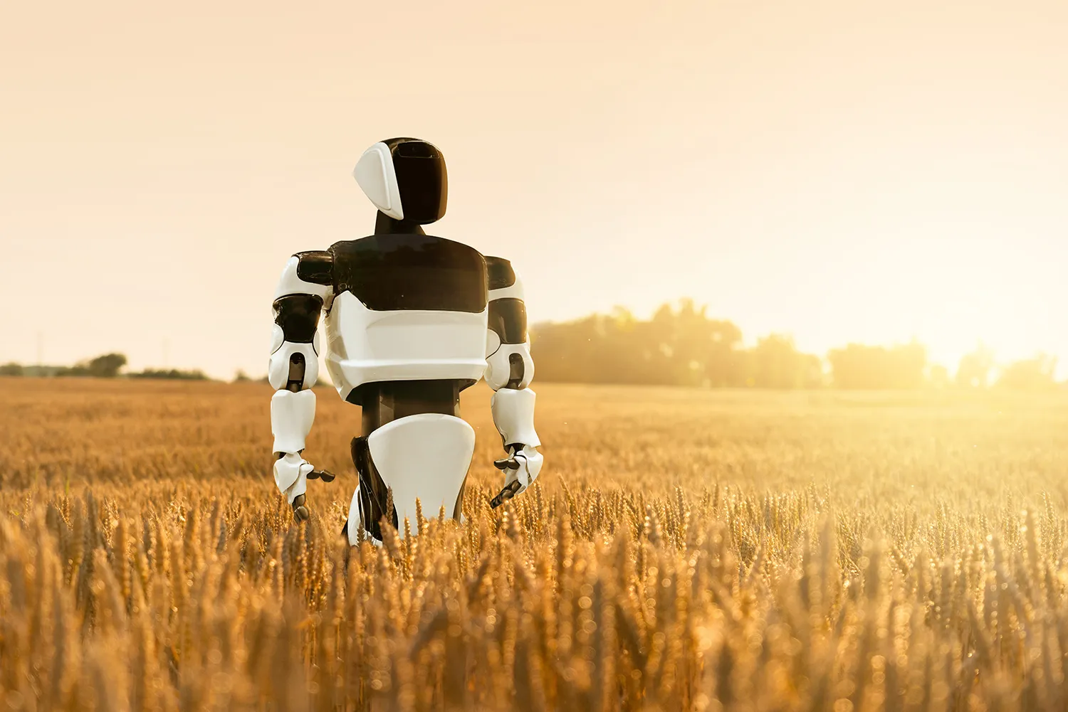 Photo - From Crypto to Cornfields: Russia’s First AI-Animated Sitcom Redefines Rural Media
