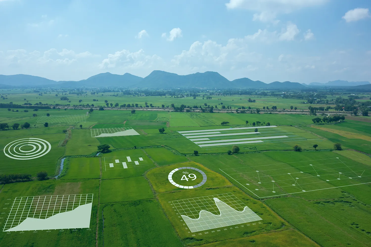 Photo - Sharing Expertise: Russian AgTech Company Launches Farm Digitization Pilot in Uganda