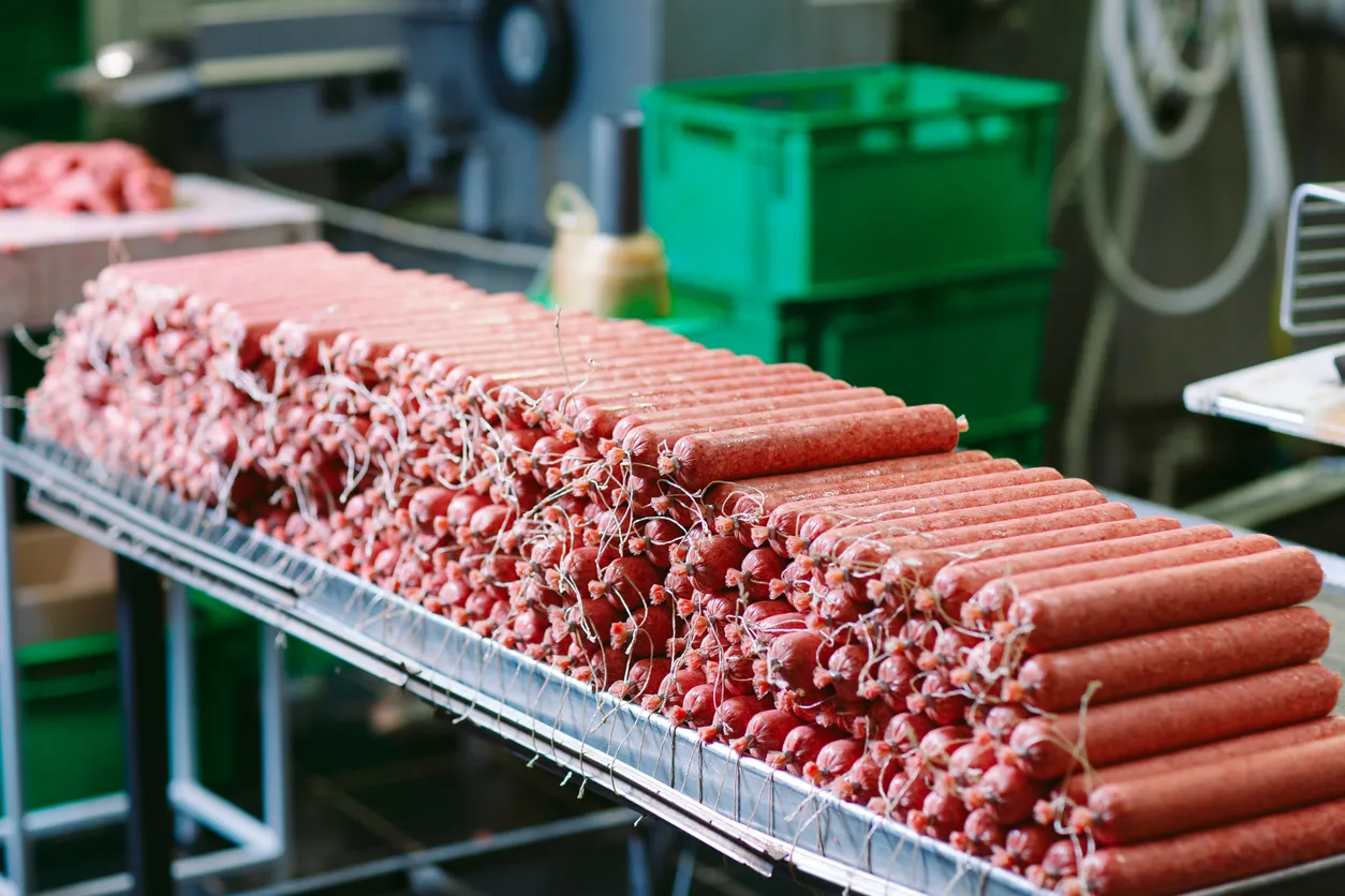 A Handful of “Vasily” Robots Double the Capacity of a Russian Meat Plant