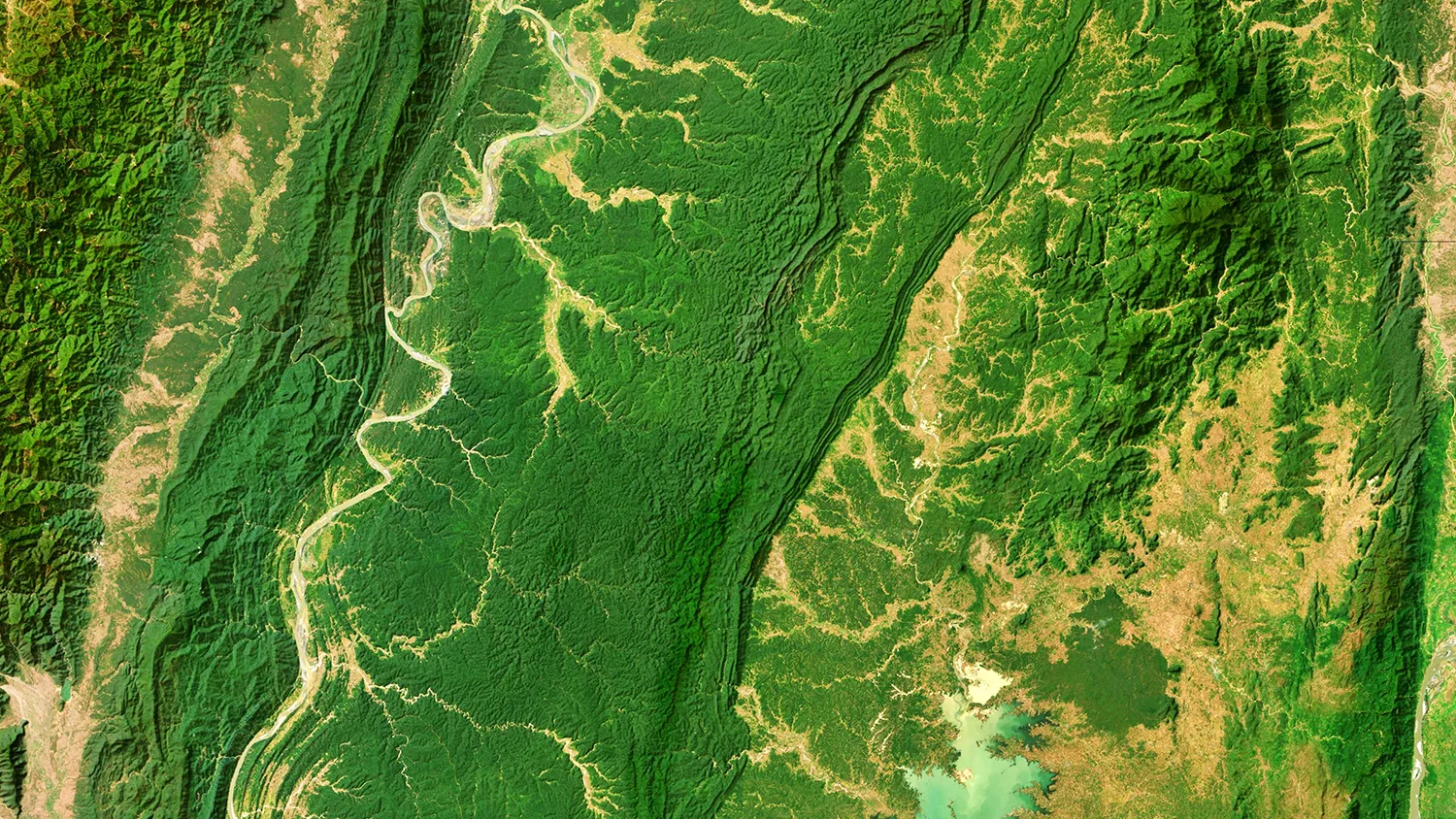 Photo - Digital Forest: AI Steps In to Protect Nizhny Novgorod’s Ecosystems