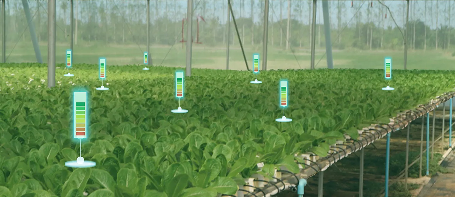 Photo - AI for Crop Protection: Scientists Develop System to Combat Weeds