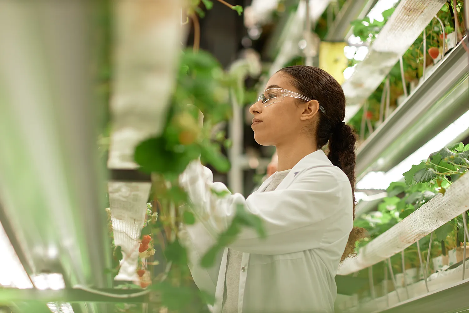 Photo - Theory Tested by Practice: Russian Agricultural Universities Become Innovation Hubs