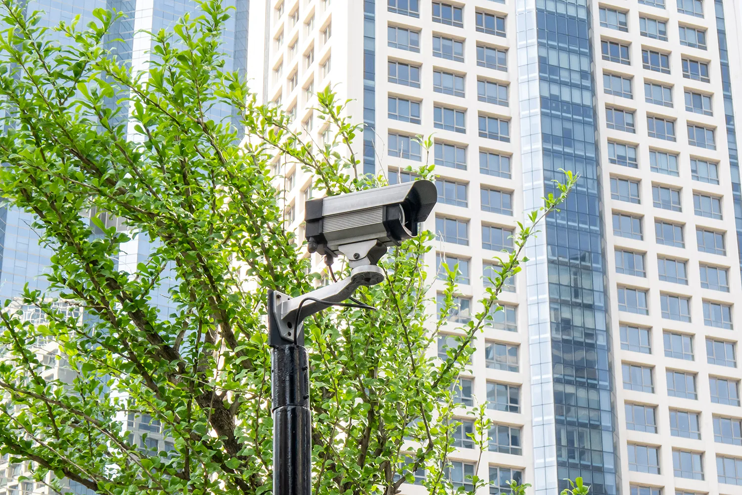 Photo - ‘Clean Territory’: How AI Transformed Public Spaces in the Moscow Region in Just Two Years