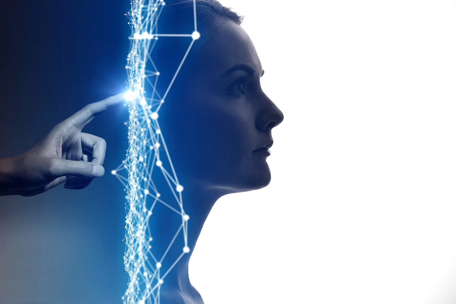 Photo - Virtual Avatars for Education: Russia to Launch Digital Profiles for Citizens Under 35
