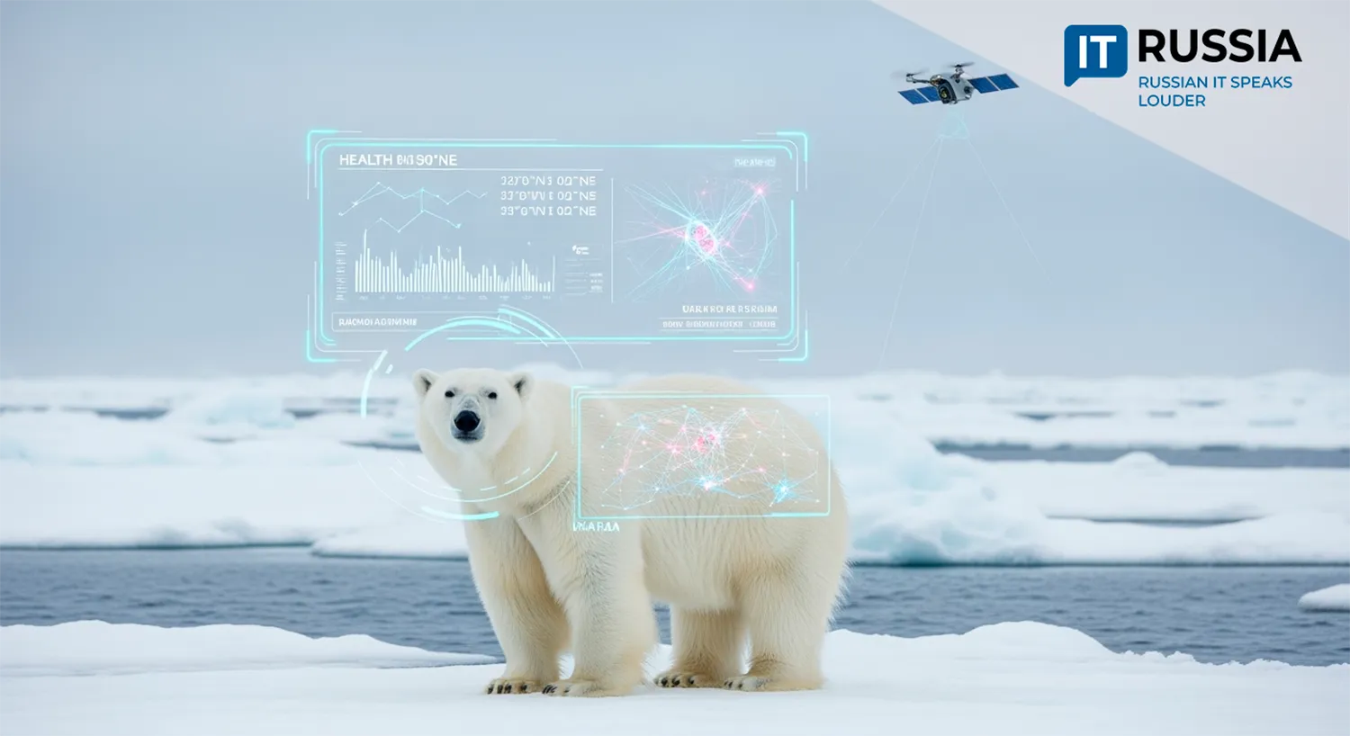 Tamura for the Taimyr: AI is Helping Russia Track the Polar Bears of the Kara Sea