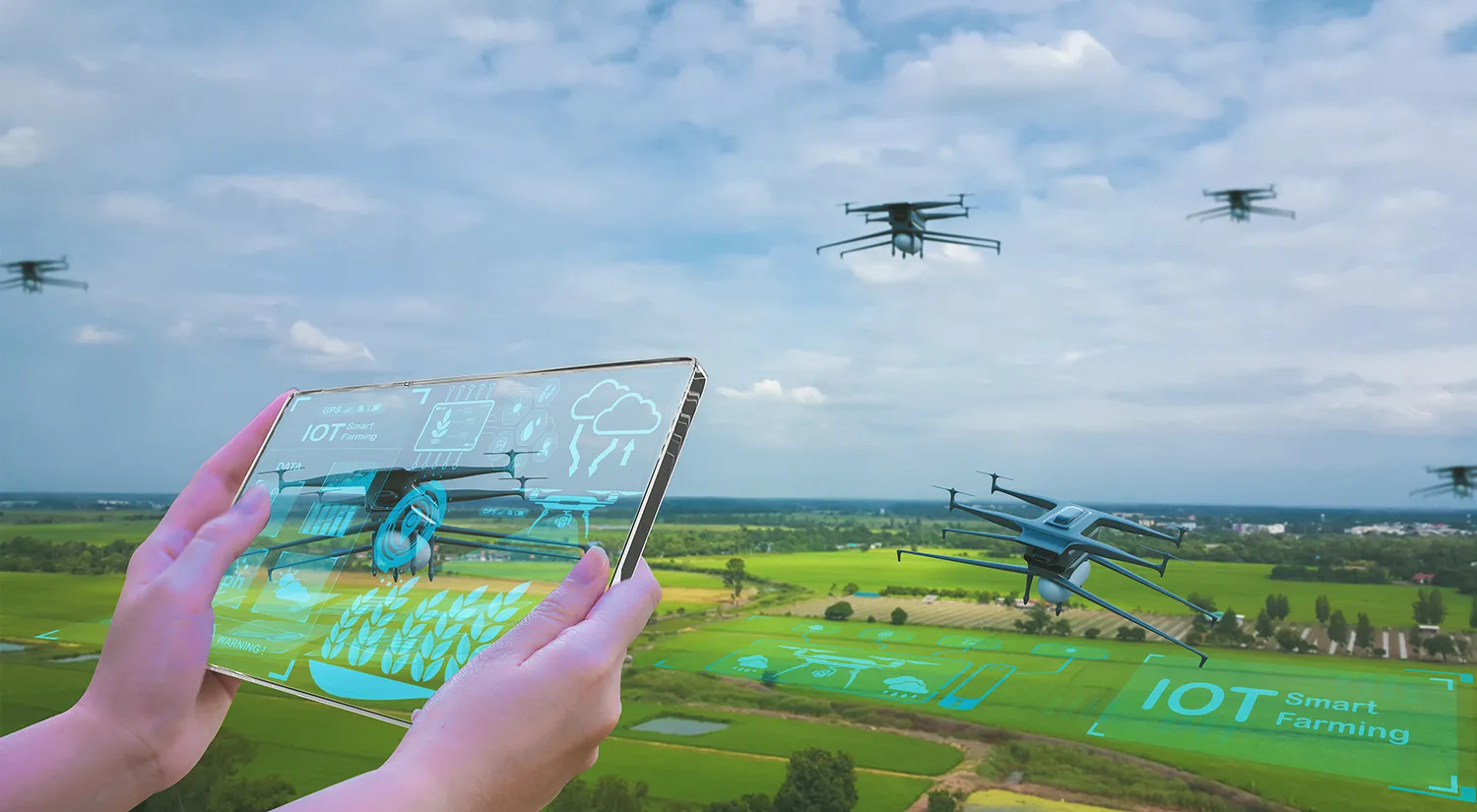 Photo - Russia’s Field of Experiments: AI Joins the Fight Against Invasive Weeds