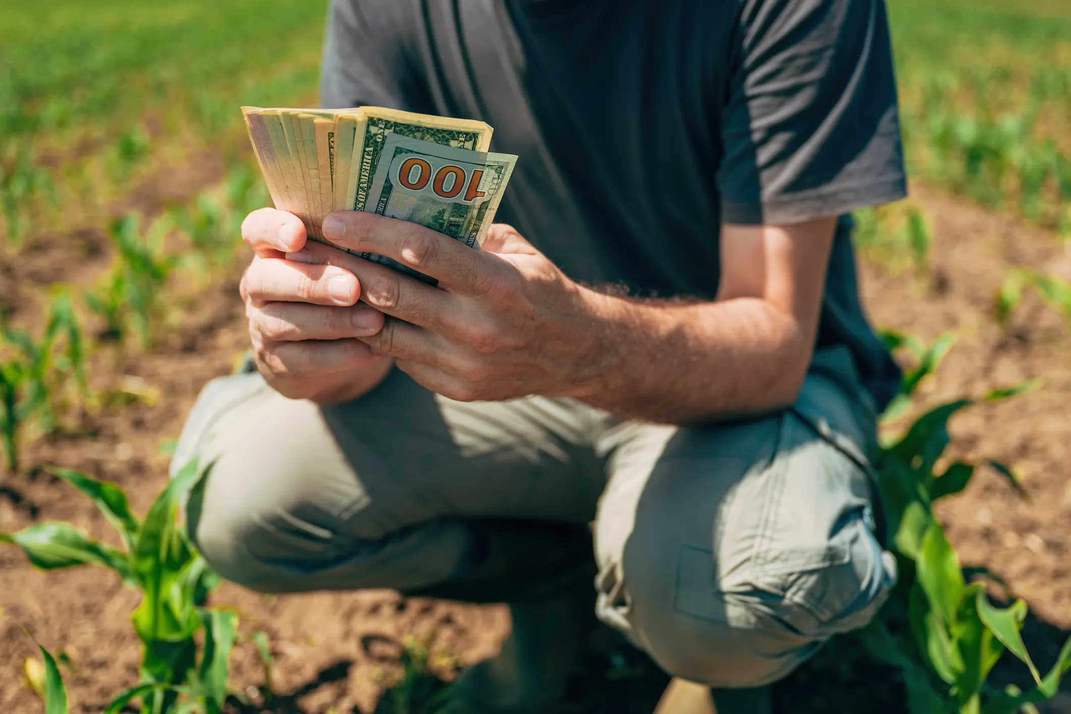AI-Driven Farming Could Add $6 Billion to Russia’s Agricultural Revenues