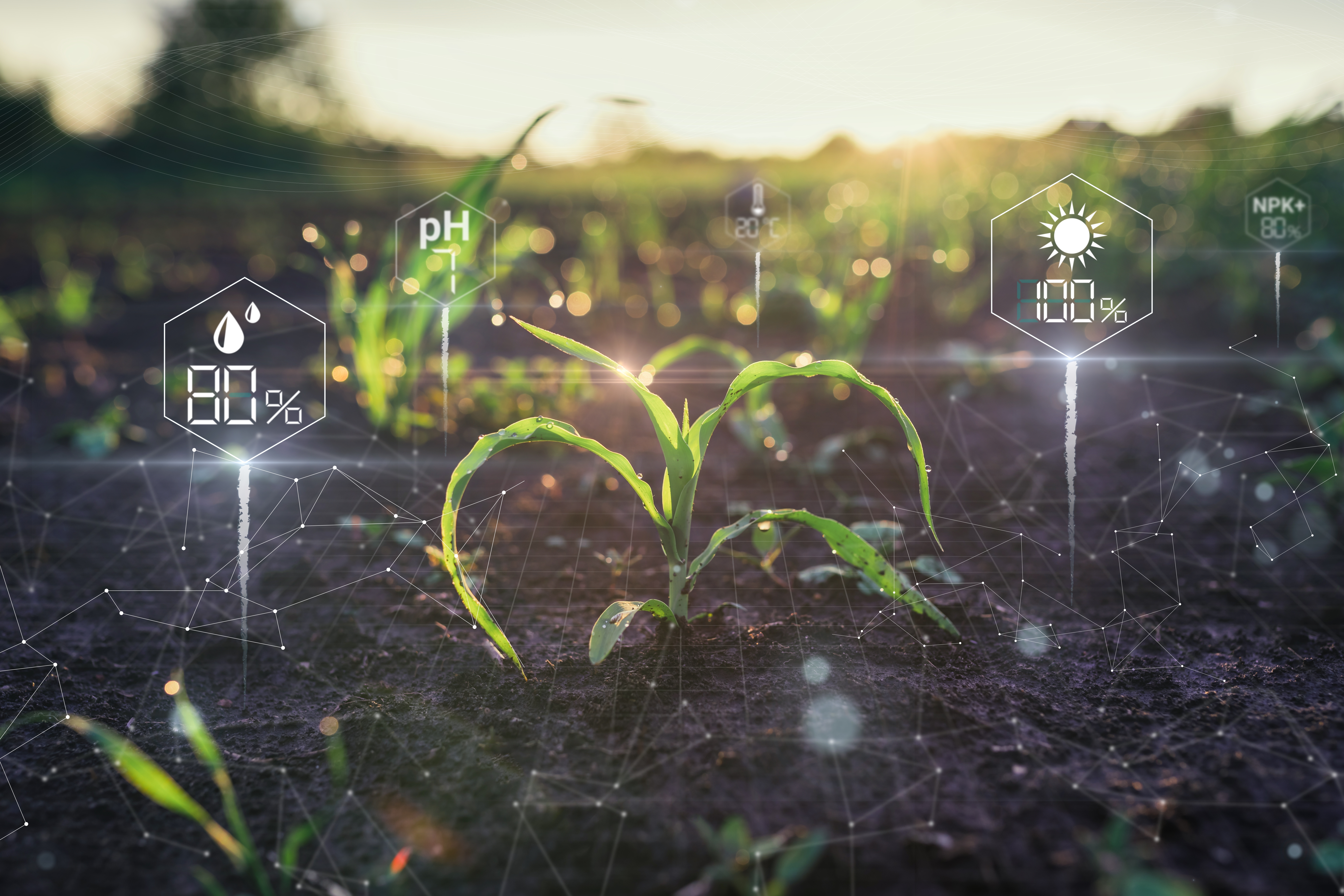 Photo - Inside Russia’s AgTech Surge: Digital Tools, Autonomous Tractors & In-House Innovation