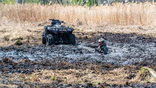 In Russia, Artificial Intelligence Will Help Environmental Scientists Avoid ‘Sinking’ Into the Swamps