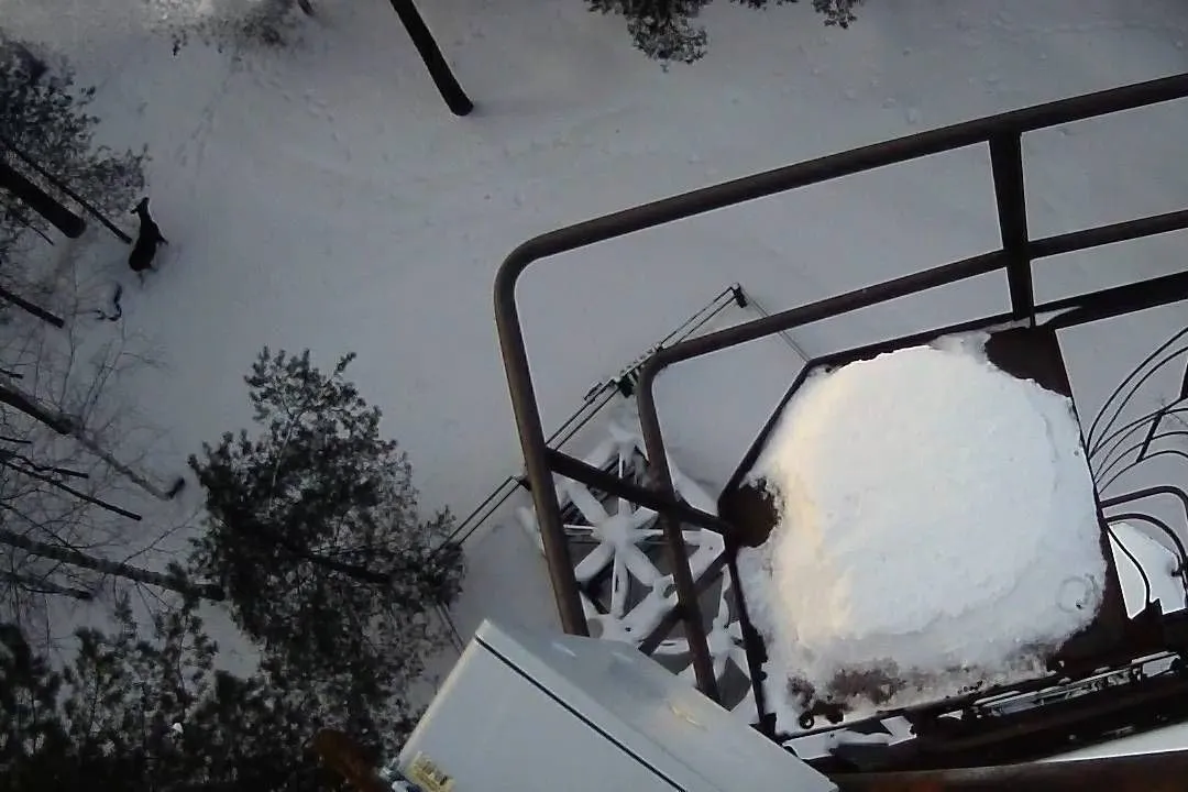 AI Digital Eyes and Storm Sensors Are Guarding Russias Buzuluksky Bor National Park