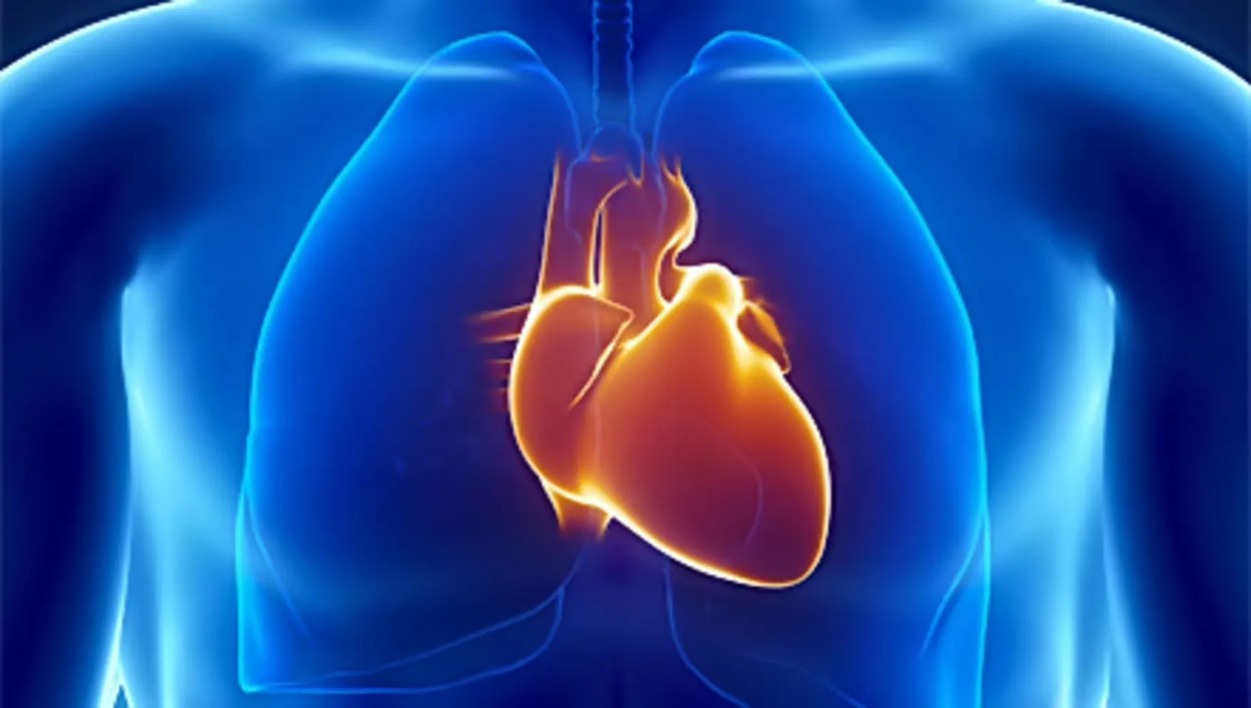 Technology to Model Heart Valves Made from Animal Tissue Developed in Russia