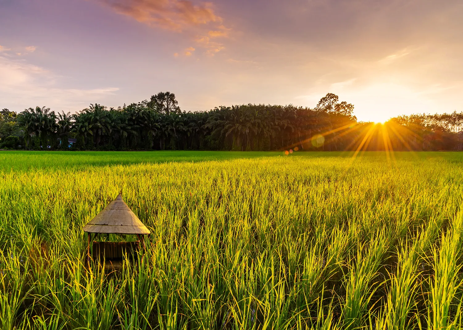 Photo - From Crypto to Cornfields: Russia’s First AI-Animated Sitcom Redefines Rural Media