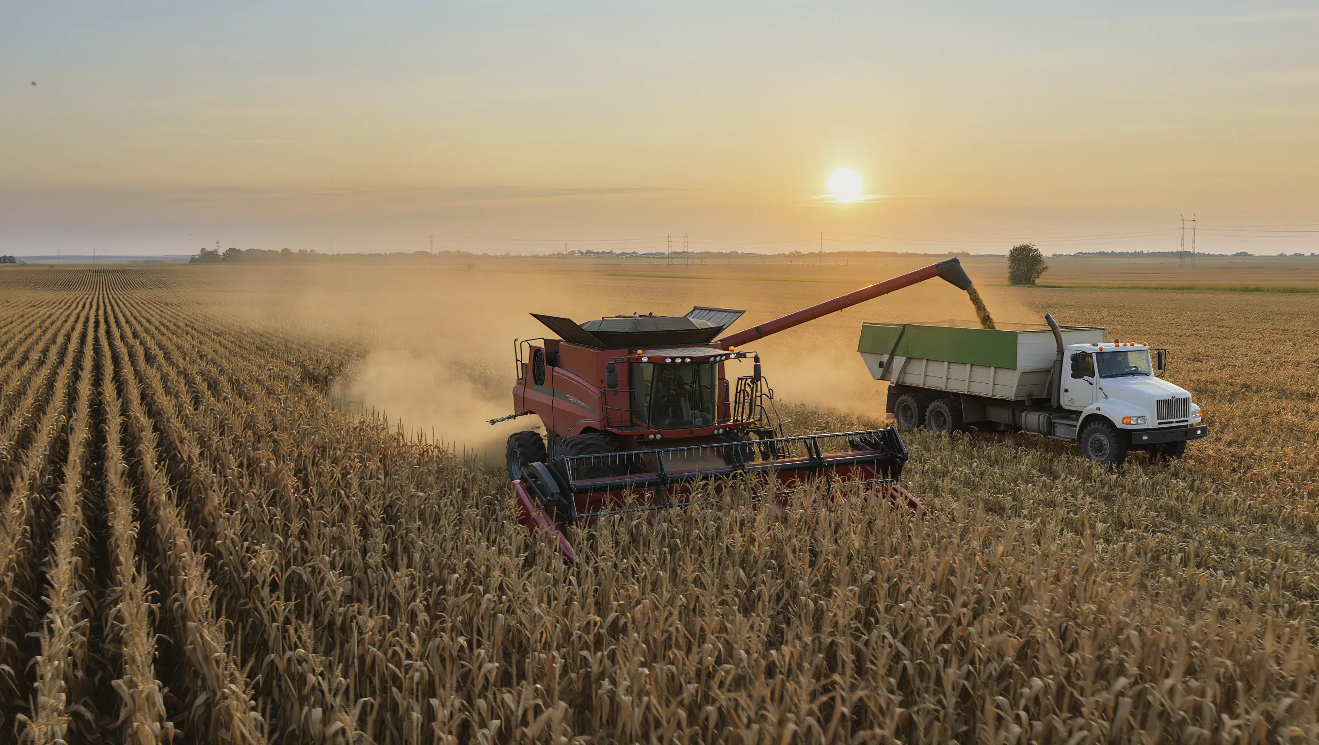 Photo - Кормоуборочный комбайн готовит корма без механизатора