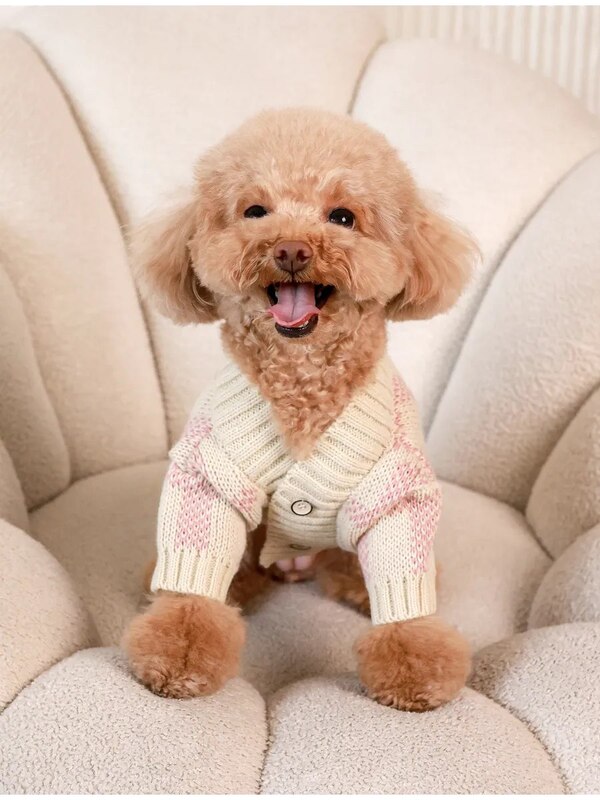 Одежда для собак кошек мелких пород, свитер для собак, Pawsy