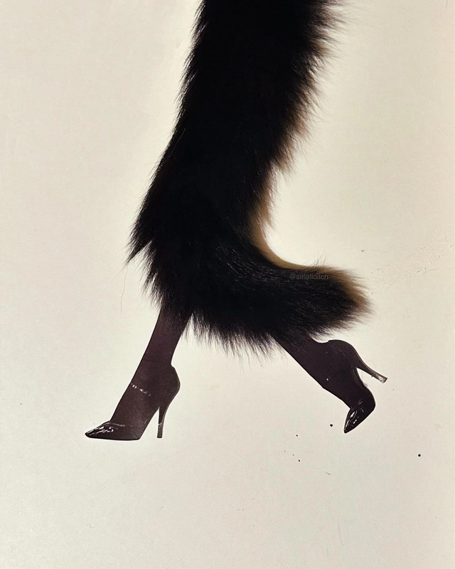 A mixed-media collage combining found fashion with a live cat.