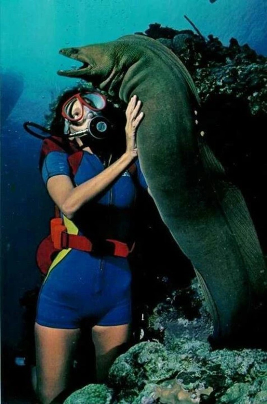 A diver and a green moray eel off the coast of Florida. Photo by Jerry Greenberg for National Geographic.