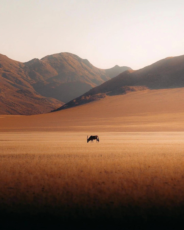 A landscape in Namibia, photographed by Idan Arad.