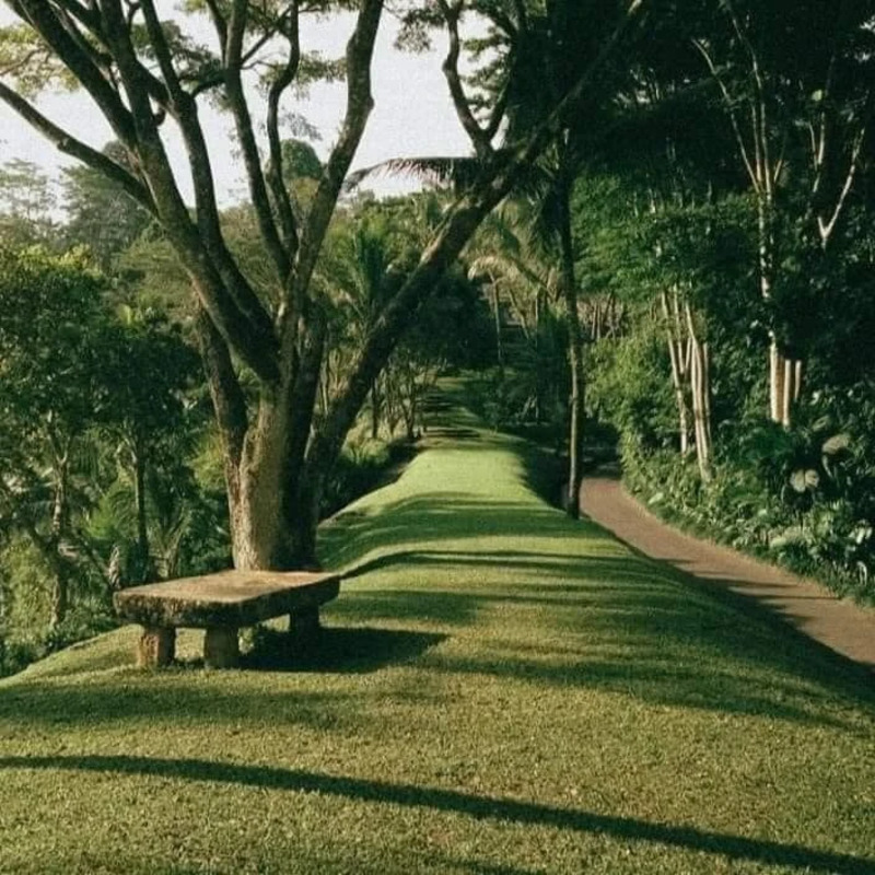 A path at the Como Shambhala Estate in Bali, Indonesia.