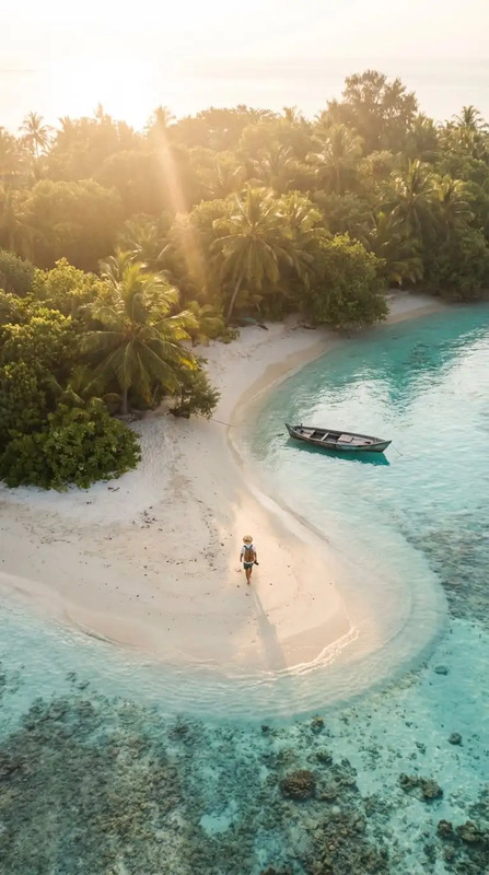 an aerial view of two boats in the water near a beach with palm trees and white sand