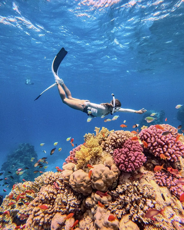 a woman diving in the ocean surrounded by corals