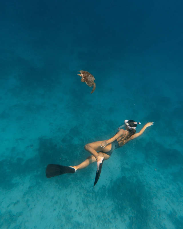 a woman swimming in the ocean with a turtle