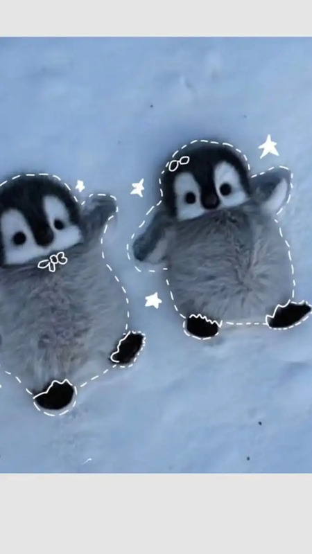 two raccoons are laying in the snow with their faces cut out to look like they're hugging each other