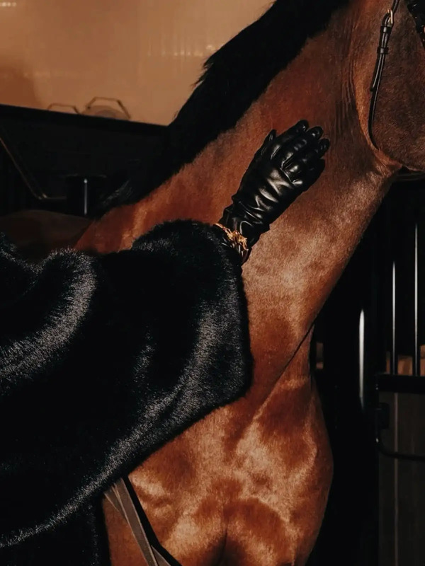 a brown horse with black gloves on it's back