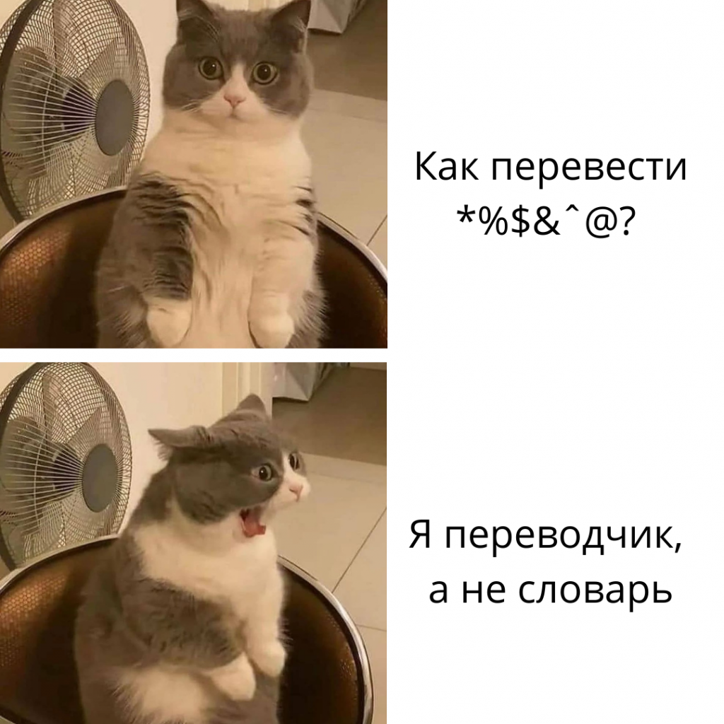 Мем про словарь
