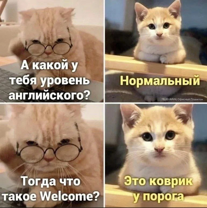 Мем про welcome