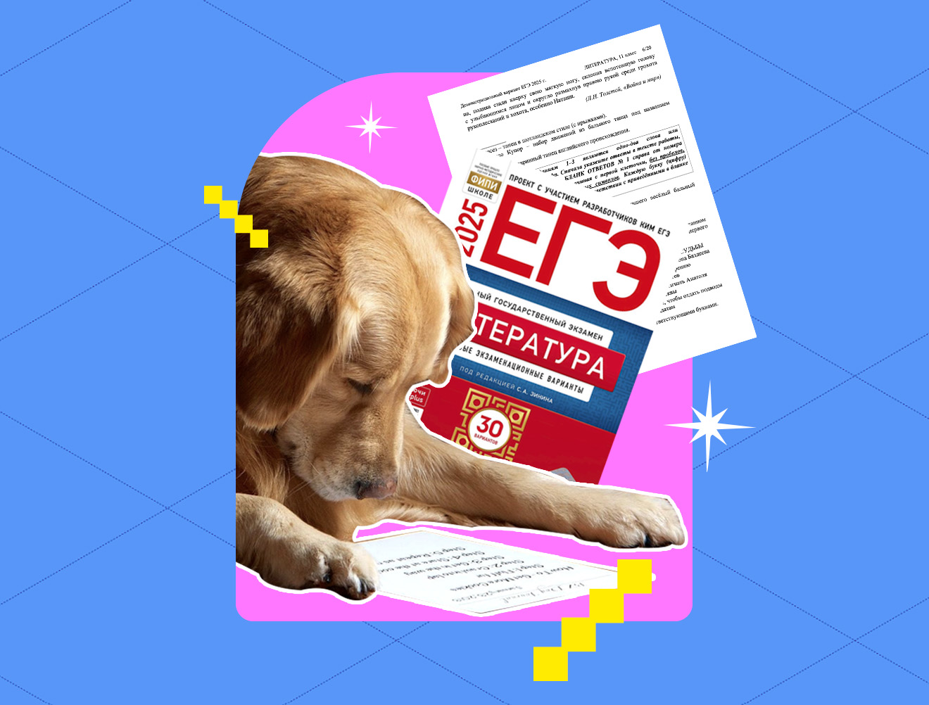 ЕГЭ по литературе: как писать сочинение №11