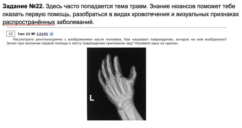 Задание по биологии