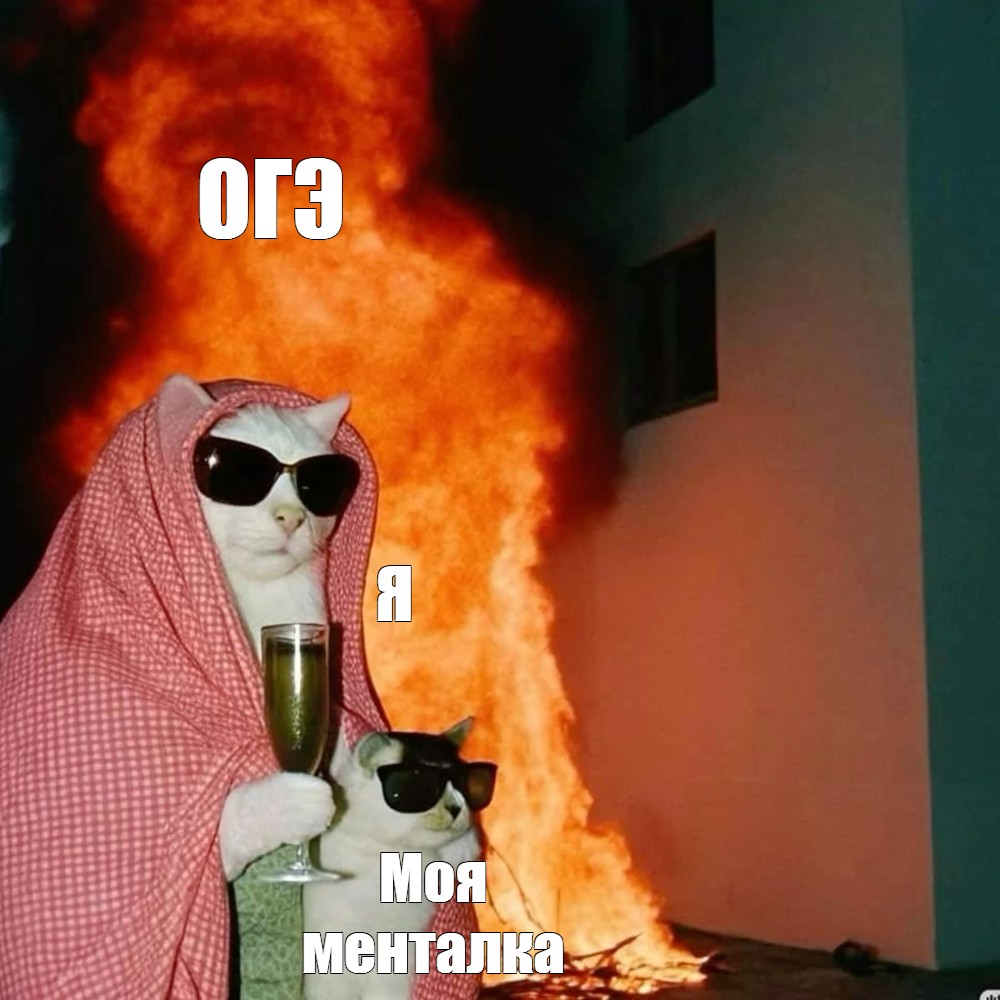Мем про ОГЭ