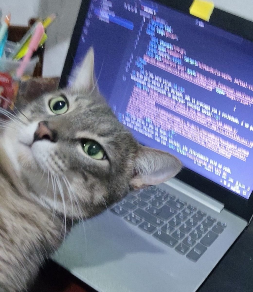Кот и код