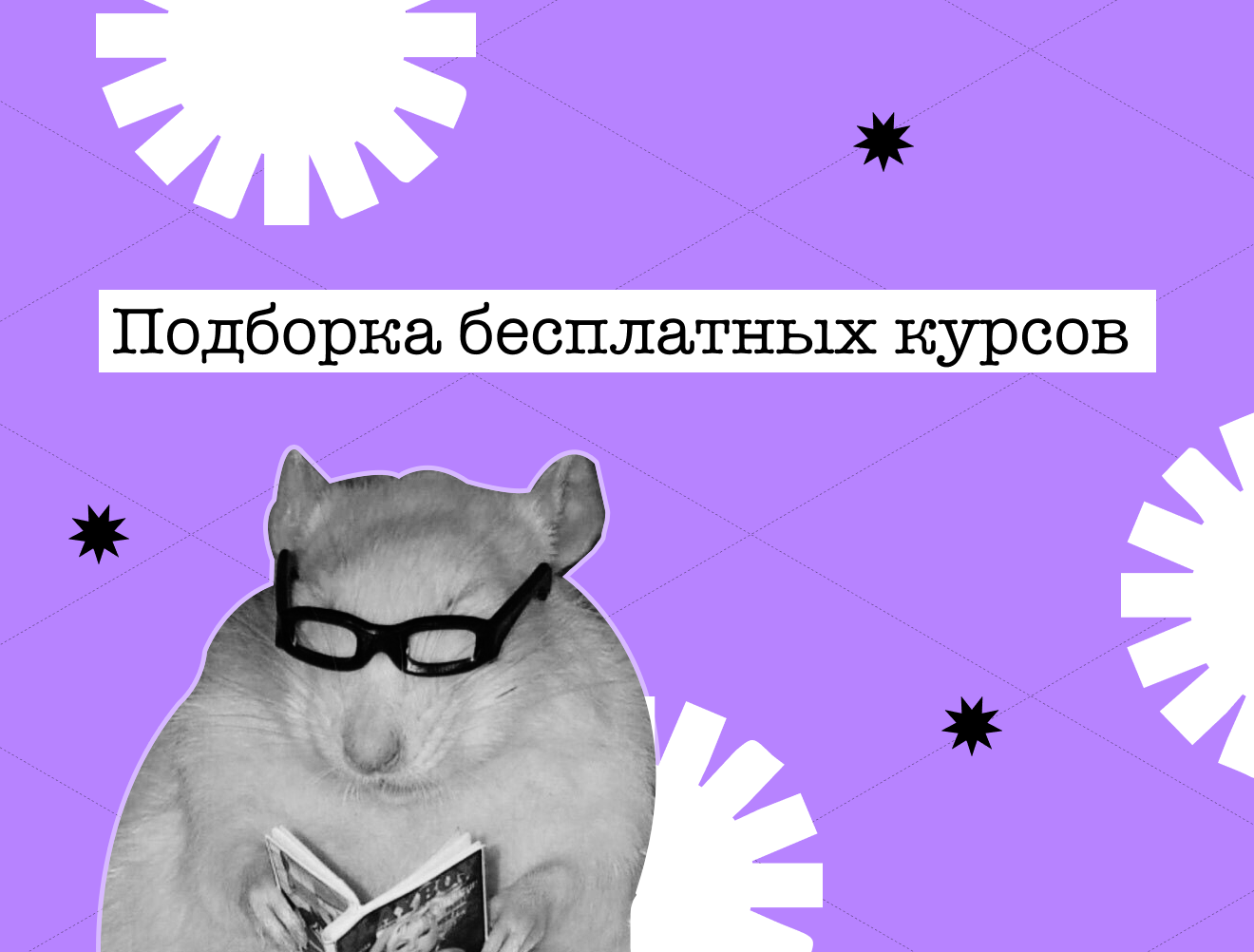 10 платформ с бесплатными курсами, с которых можно начать путь к будущей профессии