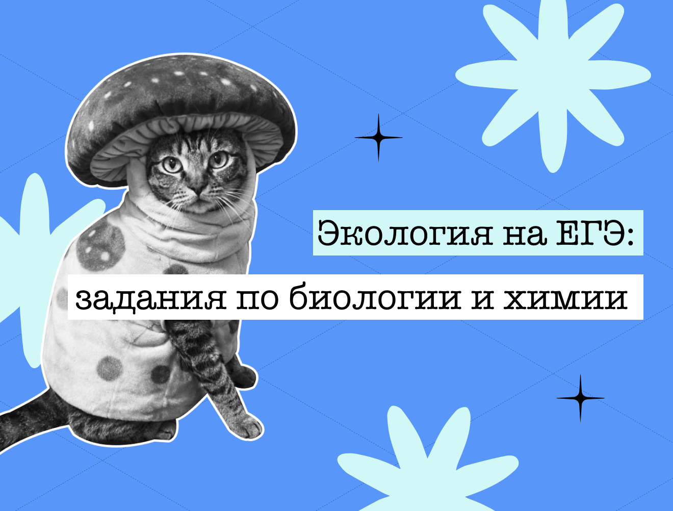 Экология на ЕГЭ: темы, которые точно попадутся