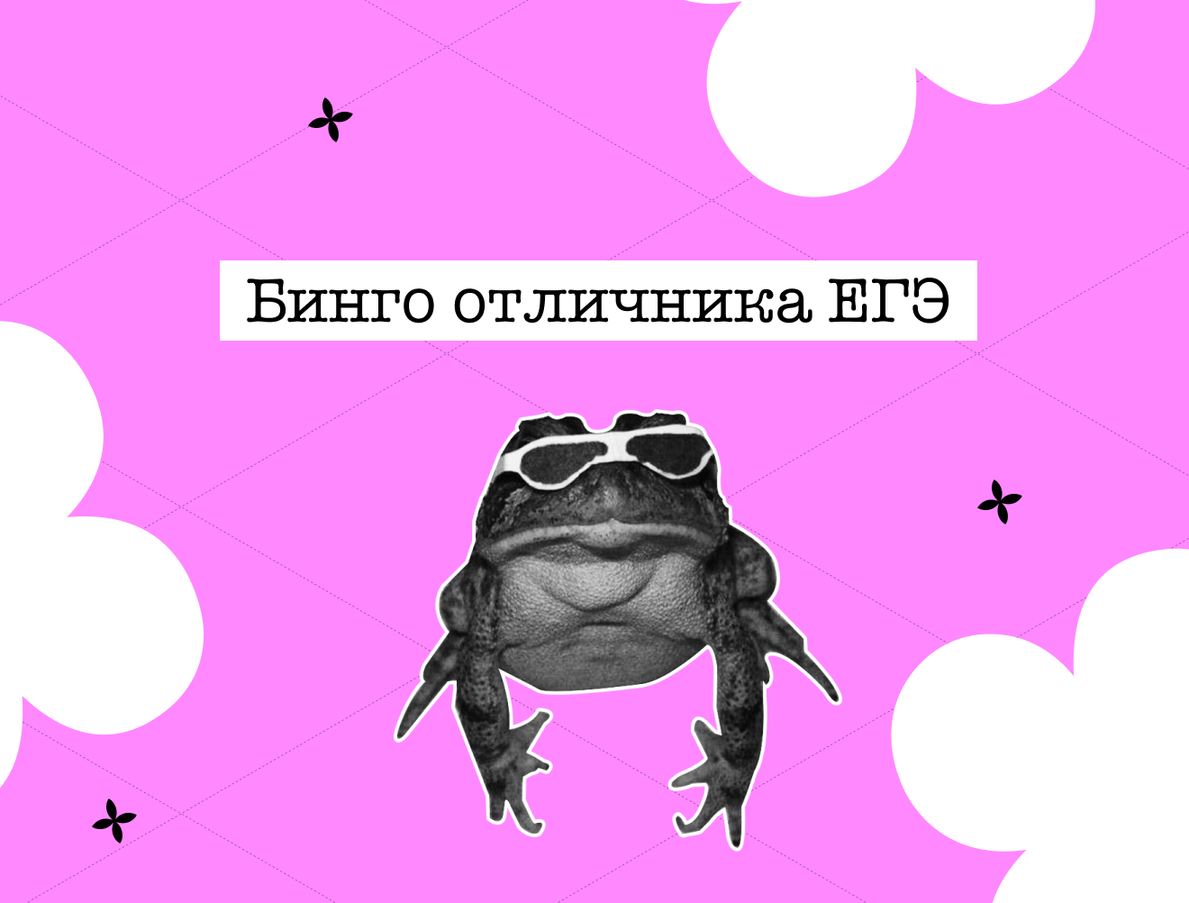 Пушистый бинго высокобалльника ЕГЭ