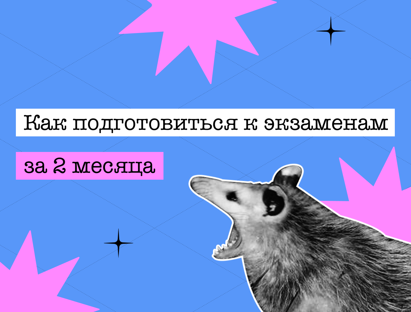 Как подготовиться к экзаменам за 2 месяца: план от методистов Умскул
