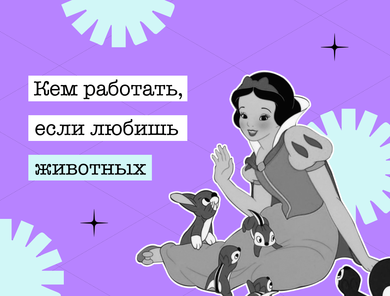 Не только ветеринар: говорим о профессиях, связанных с животными
