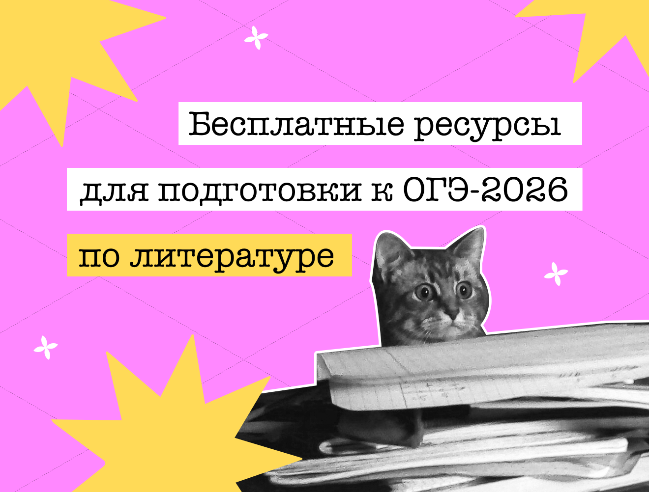 Бесплатные ресурсы для подготовки к ОГЭ по литературе
