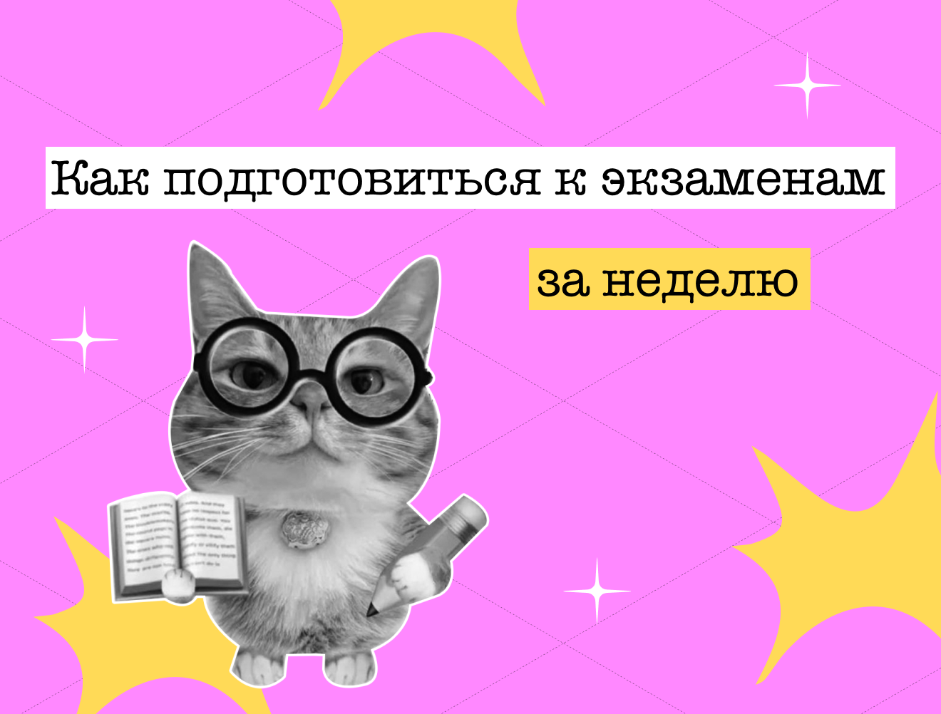 Миссия выполнима: как подготовиться к ОГЭ и ЕГЭ за неделю
