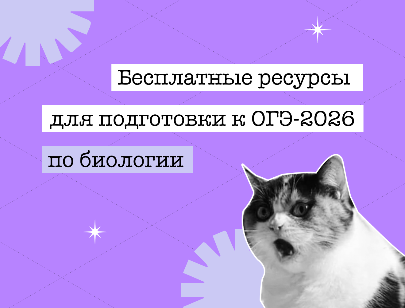 Бесплатные ресурсы для подготовки к ОГЭ по биологии