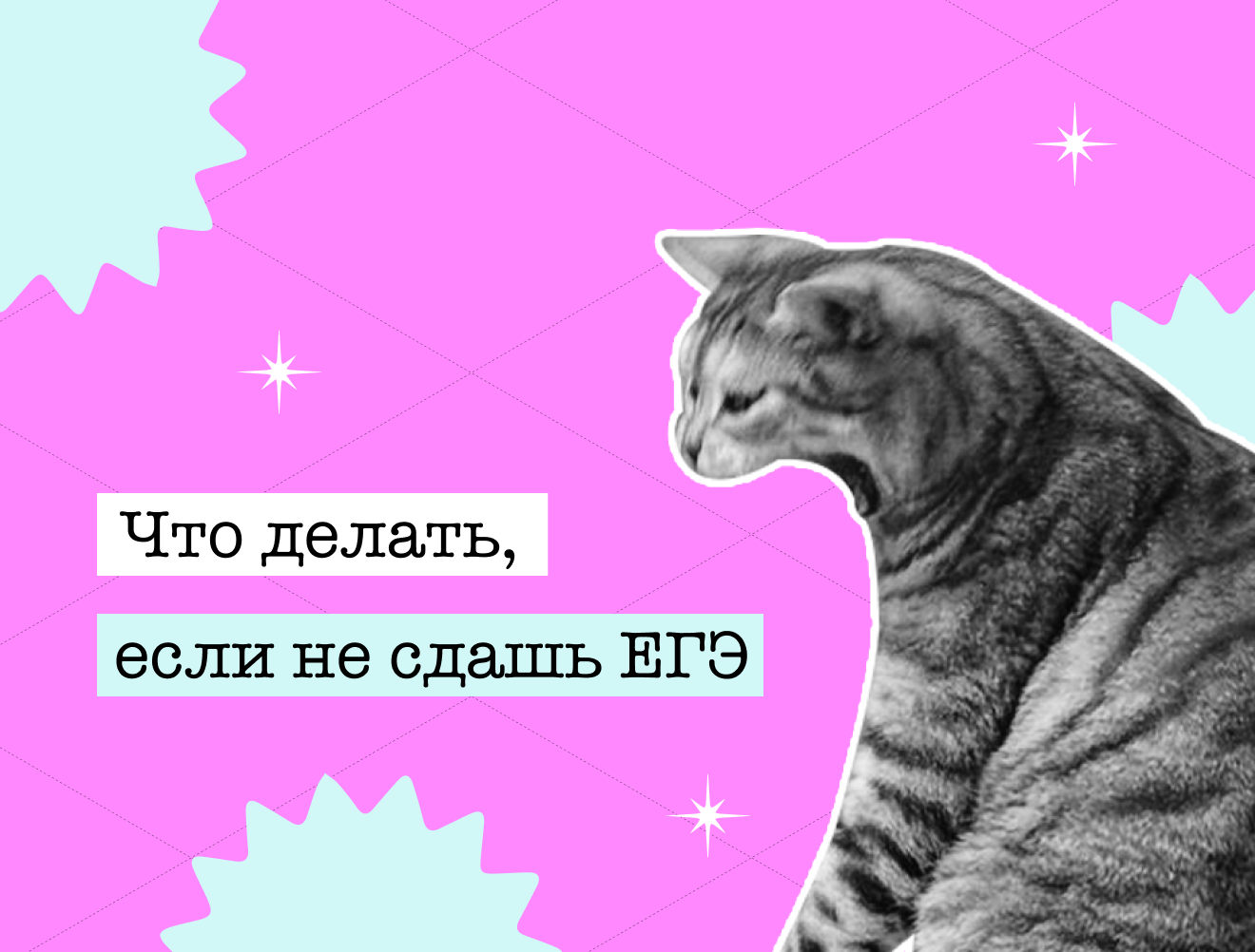 Что делать, если не сдашь ЕГЭ: скорая помощь для выпускников