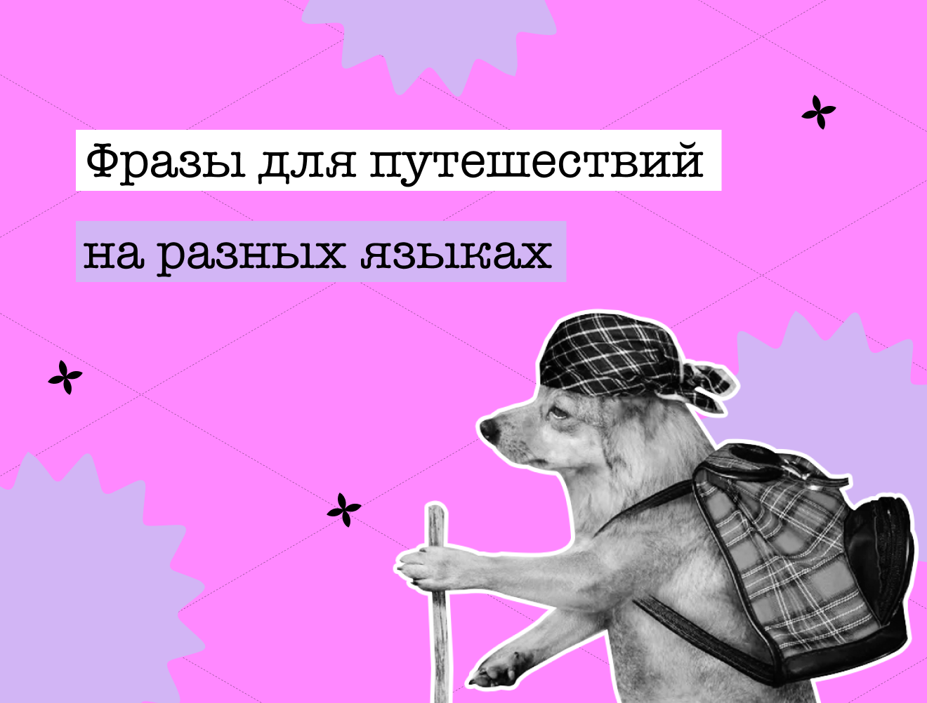 «Hello», «Merhaba», «Nǐ hǎo»: фразы на разных языках для путешествий
