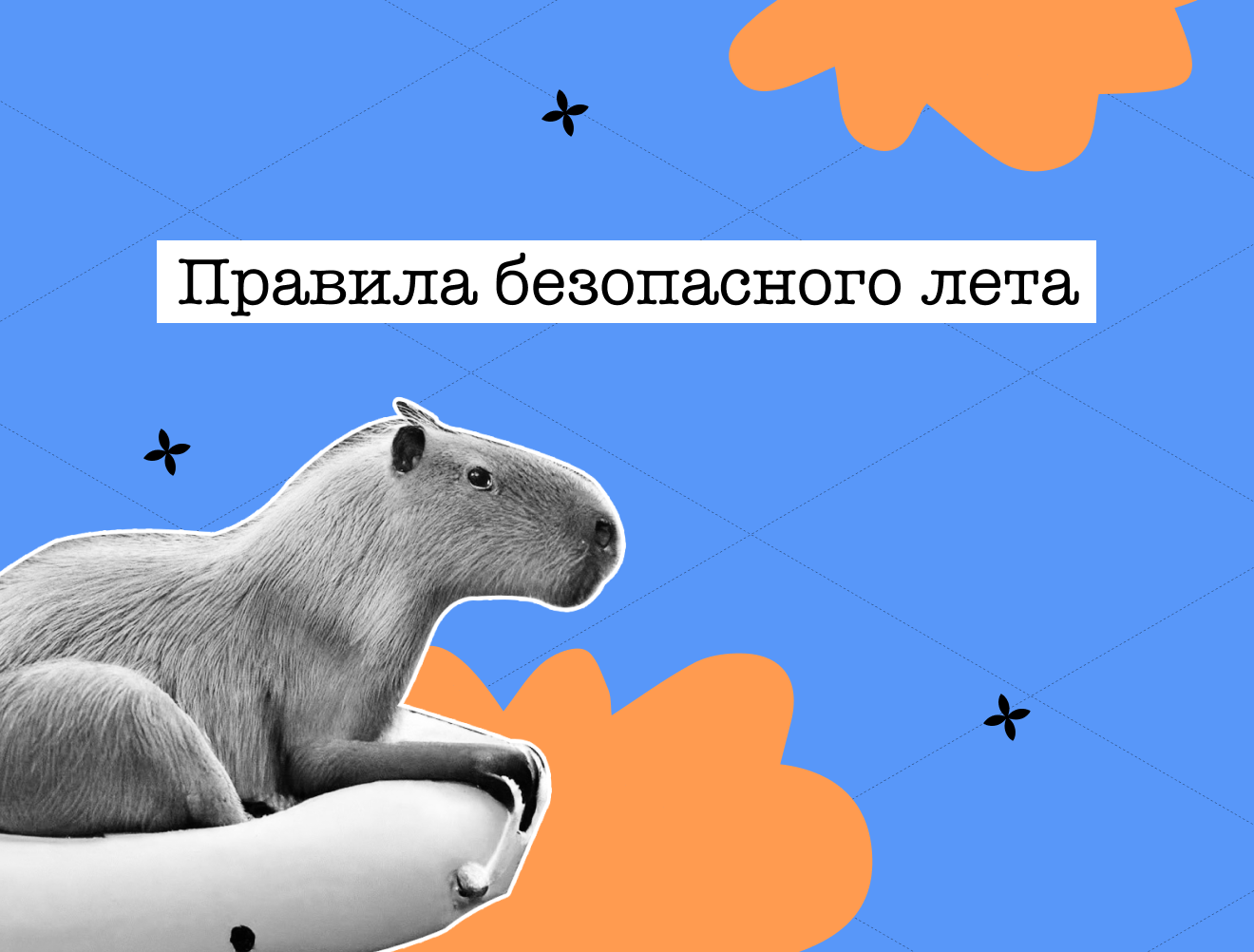 Солнце, жара, клещи: спасаемся от летних напастей
