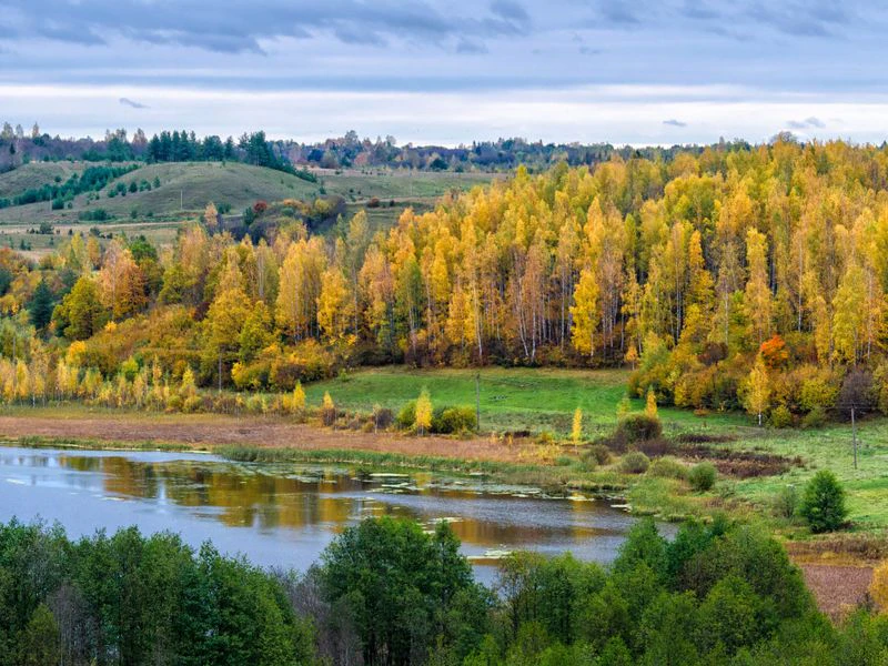Изборско-Мальская долина