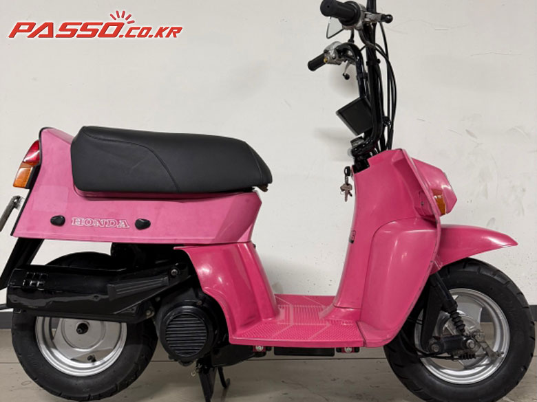 Honda 스쿼시