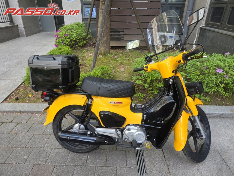 Honda 슈퍼 커브 110