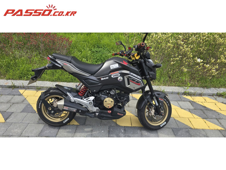 Honda MSX 125 SF